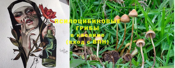 твердый Алзамай