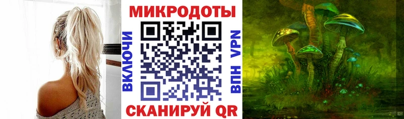 где найти наркотики Гаджиево Галлюциногенные грибы Psilocybine cubensis